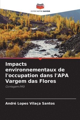Impacts environnementaux de l'occupation dans l'APA Vargem das Flores