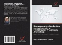 bokomslag Konwergencja standardów rachunkowo¿ci w MERCOSUR i Wspólnocie Andyjskiej: