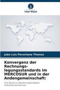 bokomslag Konvergenz der Rechnungs-legungsstandards im MERCOSUR und in der Andengemeinschaft