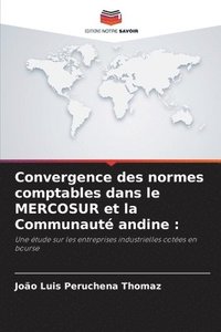 bokomslag Convergence des normes comptables dans le MERCOSUR et la Communauté andine
