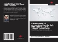 bokomslag Convergence of Accounting Standards in MERCOSUR and the Andean Community: