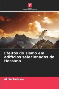 bokomslag Efeitos do sismo em edifícios selecionados de Hossana