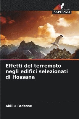 bokomslag Effetti del terremoto negli edifici selezionati di Hossana