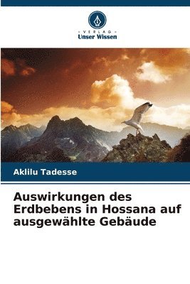 bokomslag Auswirkungen des Erdbebens in Hossana auf ausgewählte Gebäude