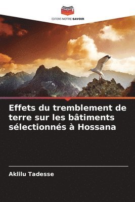 bokomslag Effets du tremblement de terre sur les bâtiments sélectionnés à Hossana