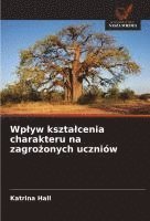 bokomslag Wplyw ksztalcenia charakteru na zagro?onych uczniów