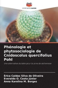 bokomslag Phénologie et phytosociologie de Cnidoscolus quercifolius Pohl
