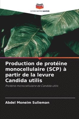 Production de protéine monocellulaire (SCP) à partir de la levure Candida utilis