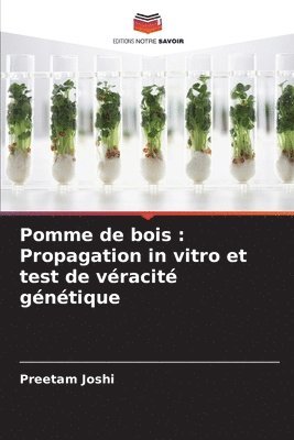 bokomslag Pomme de bois: Propagation in vitro et test de véracité génétique