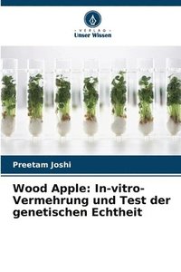 bokomslag Wood Apple: In-vitro-Vermehrung und Test der genetischen Echtheit
