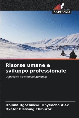 bokomslag Risorse umane e sviluppo professionale