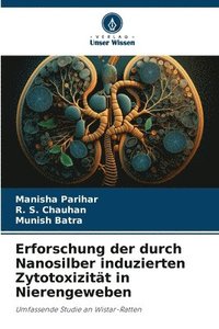 bokomslag Erforschung der durch Nanosilber induzierten Zytotoxizität in Nierengeweben