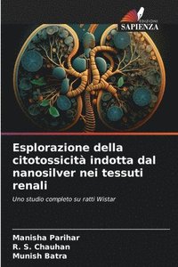 bokomslag Esplorazione della citotossicità indotta dal nanosilver nei tessuti renali