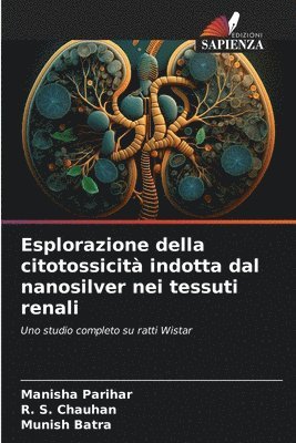 bokomslag Esplorazione della citotossicità indotta dal nanosilver nei tessuti renali