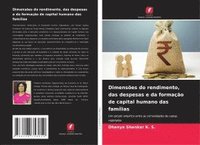 bokomslag Dimensões do rendimento, das despesas e da formação de capital humano das famílias