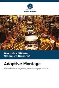 bokomslag Adaptive Montage