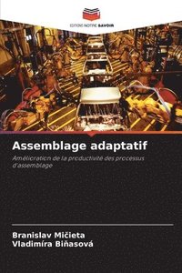bokomslag Assemblage adaptatif