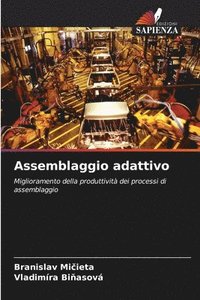 bokomslag Assemblaggio adattivo