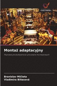 bokomslag Monta? adaptacyjny