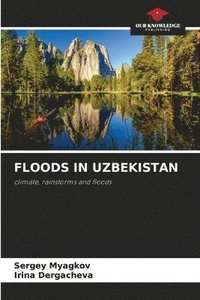 bokomslag Floods in Uzbekistan