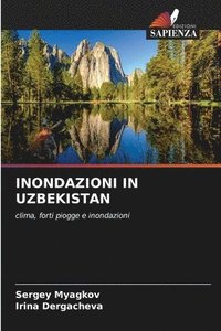 bokomslag Inondazioni in Uzbekistan