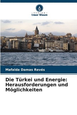 Mafalda Damas Revés - Türkei und Energie, Häftad