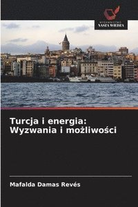 bokomslag Turcja i energia: Wyzwania i mo?liwo?ci
