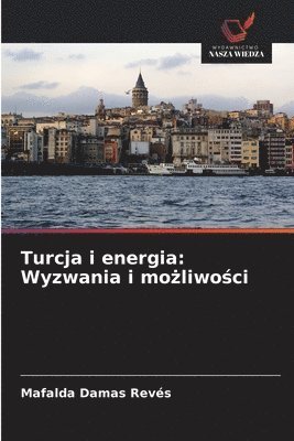 bokomslag Turcja i energia: Wyzwania i mo?liwo?ci