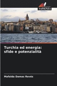 bokomslag Turchia ed energia: sfide e potenzialità