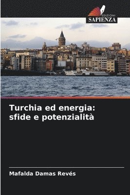 bokomslag Turchia ed energia: sfide e potenzialità
