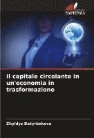 bokomslag Il capitale circolante in un'economia in trasformazione