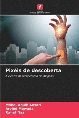bokomslag Pixéis de descoberta