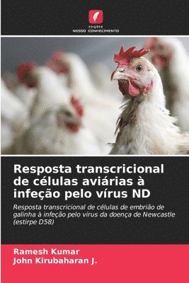 Ramesh Kumar, John Kirubaharan J, John Kirubaharan J. - Resposta transcricional de células aviárias à infeção pelo vírus ND, Häftad