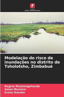 bokomslag Modelação do risco de inundações no distrito de Tsholotsho, Zimbabué