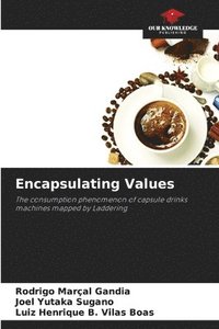 bokomslag Encapsulating Values