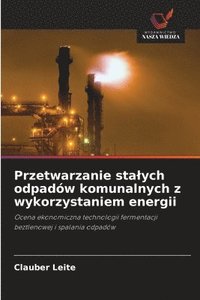 bokomslag Przetwarzanie sta¿ych odpadów komunalnych z wykorzystaniem energii