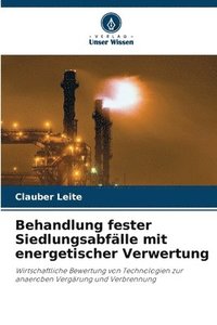 bokomslag Behandlung fester Siedlungsabfälle mit energetischer Verwertung