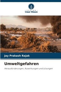 bokomslag Umweltgefahren