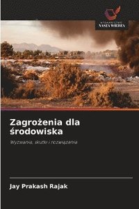 bokomslag Zagro?enia dla ?rodowiska