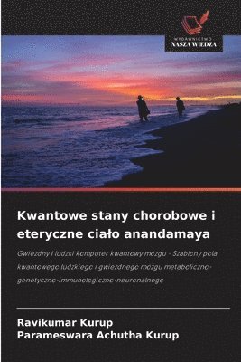 Ravikumar Kurup, Parameswara Achutha Kurup - Kwantowe stany chorobowe i eteryczne cialo anandamaya, Häftad