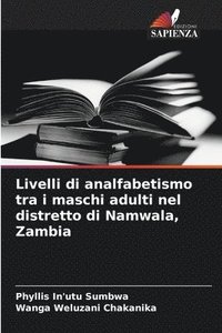 bokomslag Livelli di analfabetismo tra i maschi adulti nel distretto di Namwala, Zambia