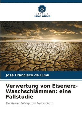 bokomslag Verwertung von Eisenerz-Waschschlämmen: eine Fallstudie