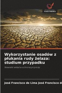 bokomslag Wykorzystanie osadów z plukania rudy ?elaza: studium przypadku