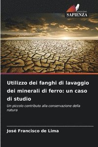 bokomslag Utilizzo dei fanghi di lavaggio dei minerali di ferro: un caso di studio