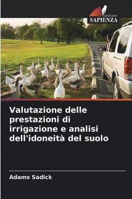 bokomslag Valutazione delle prestazioni di irrigazione e analisi dell'idoneità del suolo