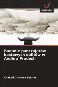 bokomslag Badanie panczajatów kastowych dalitów w Andhra Pradesh