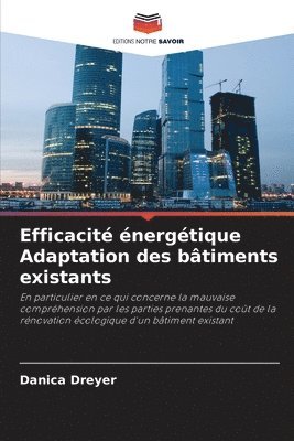 bokomslag Efficacité énergétique Adaptation des bâtiments existants