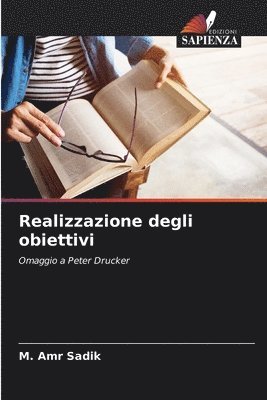 M Amr Sadik, M. Amr Sadik - Realizzazione degli obiettivi, Häftad