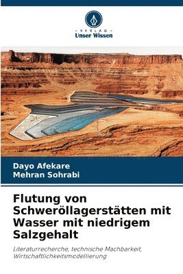 bokomslag Flutung von Schweröllagerstätten mit Wasser mit niedrigem Salzgehalt