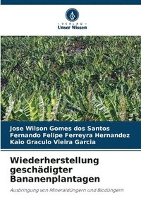 bokomslag Wiederherstellung geschädigter Bananenplantagen